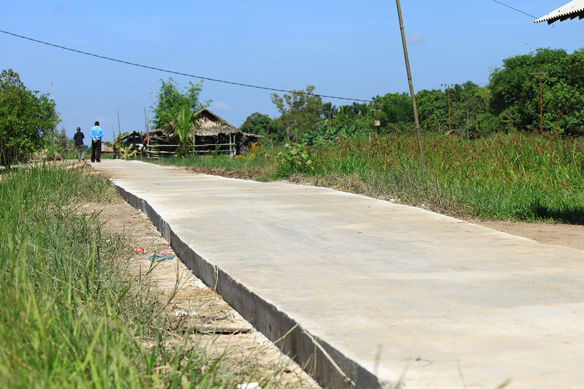 Peningkatan Pembangunan Jalan Lingkungan di Desa Warnasari, Dusun Purworejo Kec. Kapuas Kuala TA. 2014